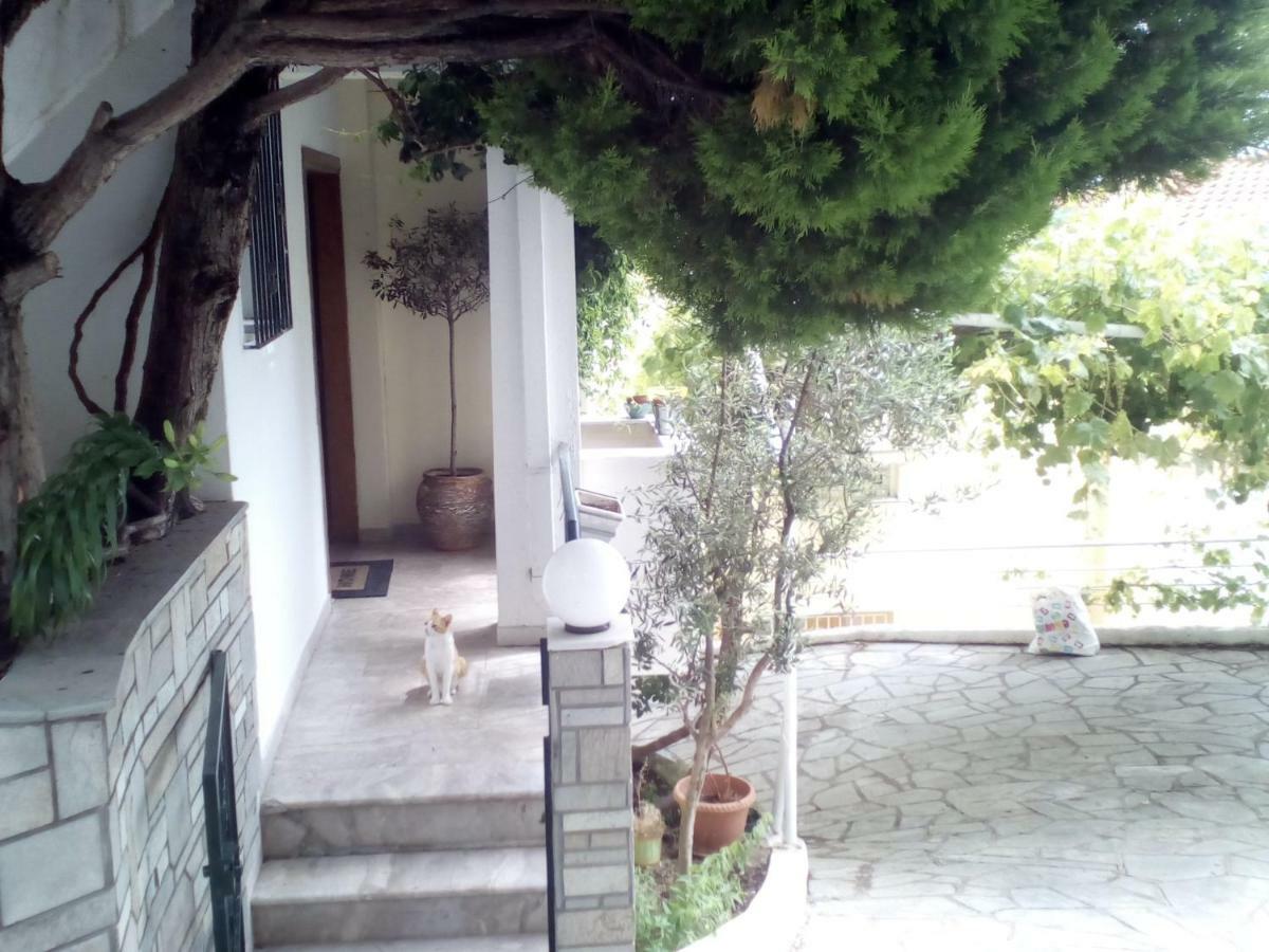 Kavala Apartment エクステリア 写真